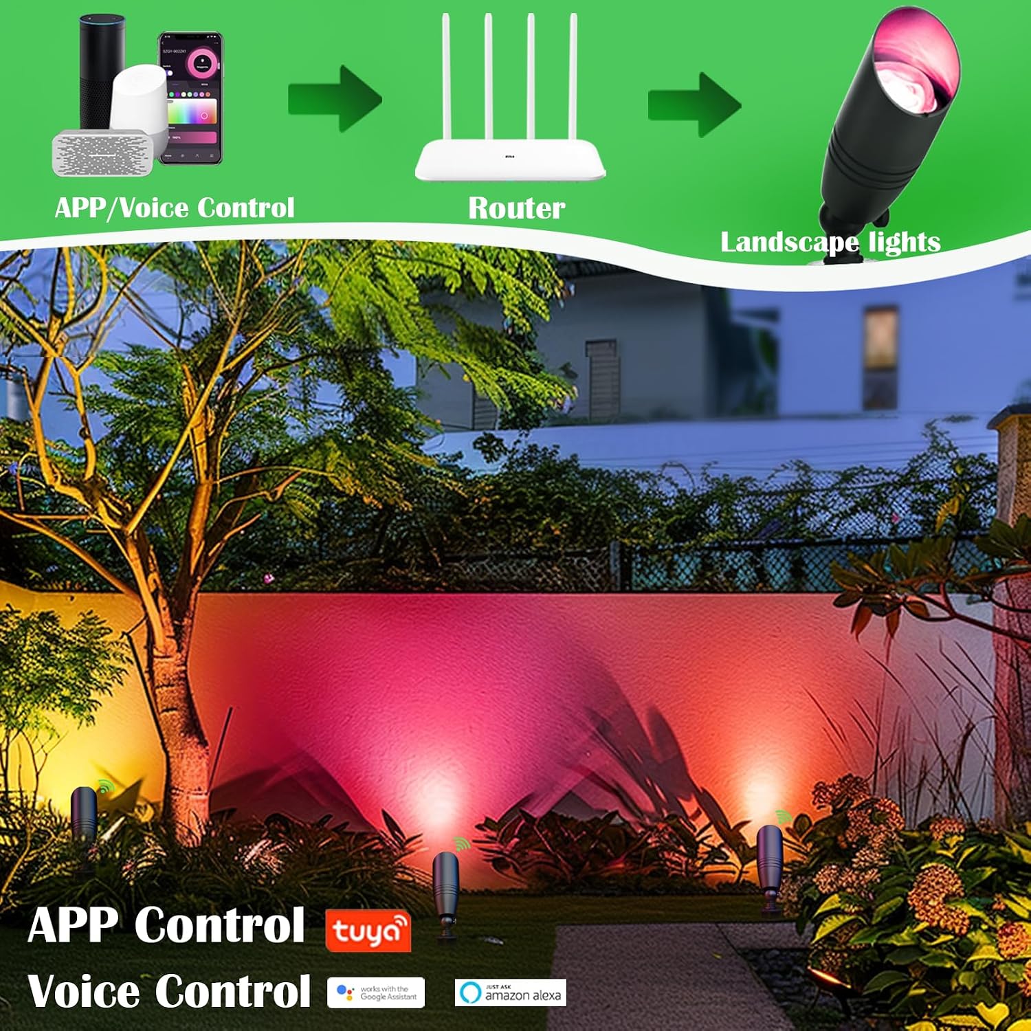 RGB Low Voltage Landscape Ligh - Outdoor Lighting Volt ulasan dan harga