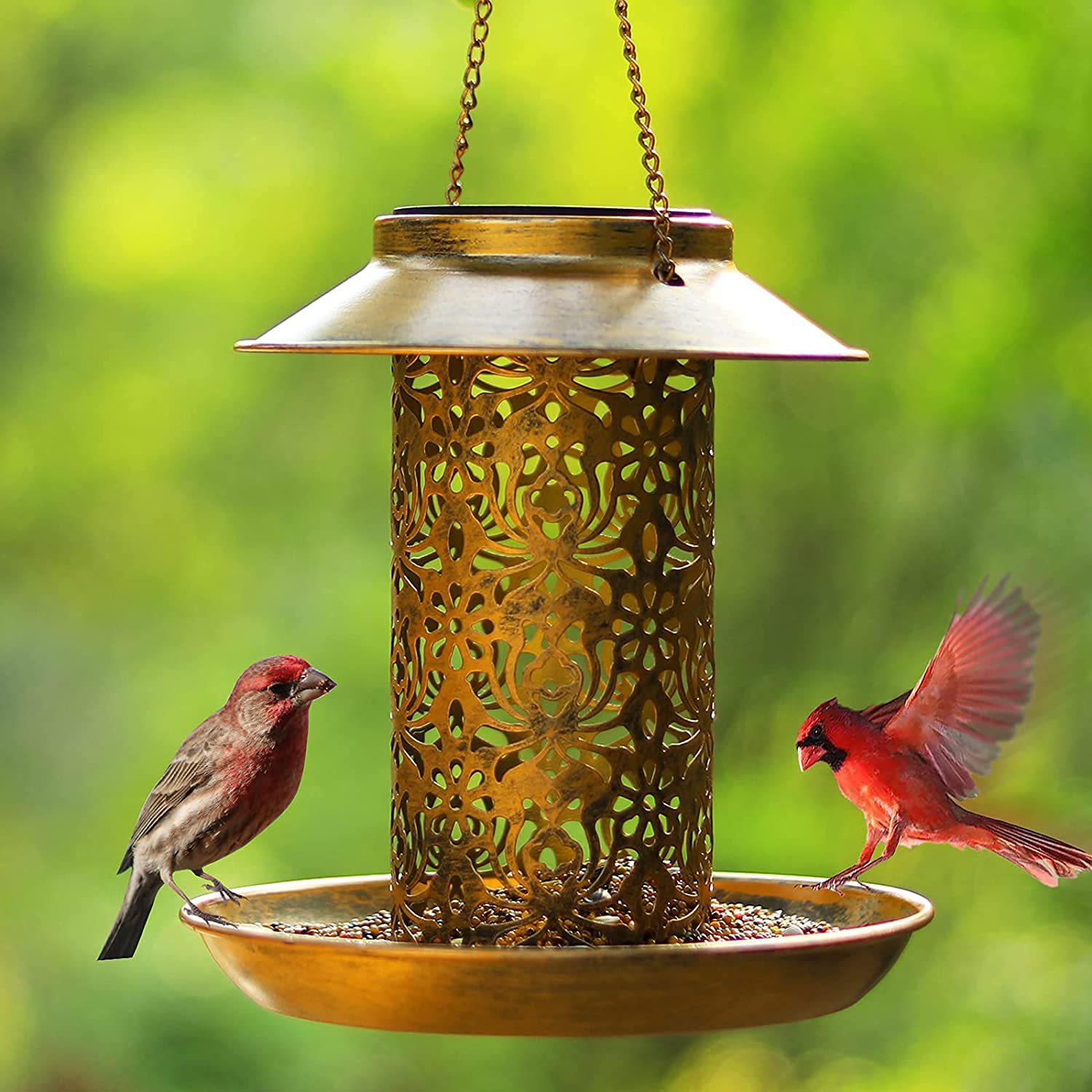 Hanging Bird House Metal Outdo - Outdoor Lighting Ideas For House ulasan dan harga